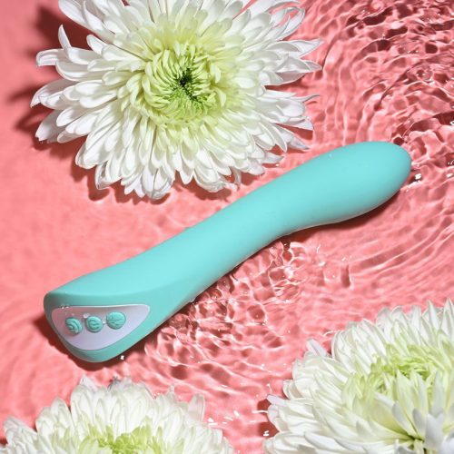 Evolved COME WITH ME Waterproof Vibrator Shhh. 2268978