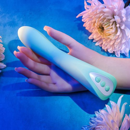 Evolved COME WITH ME Waterproof Vibrator Shhh. 2268988