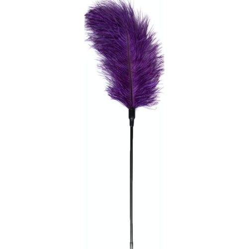 Feather Tickler Purple Shhh. 2272956